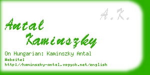 antal kaminszky business card